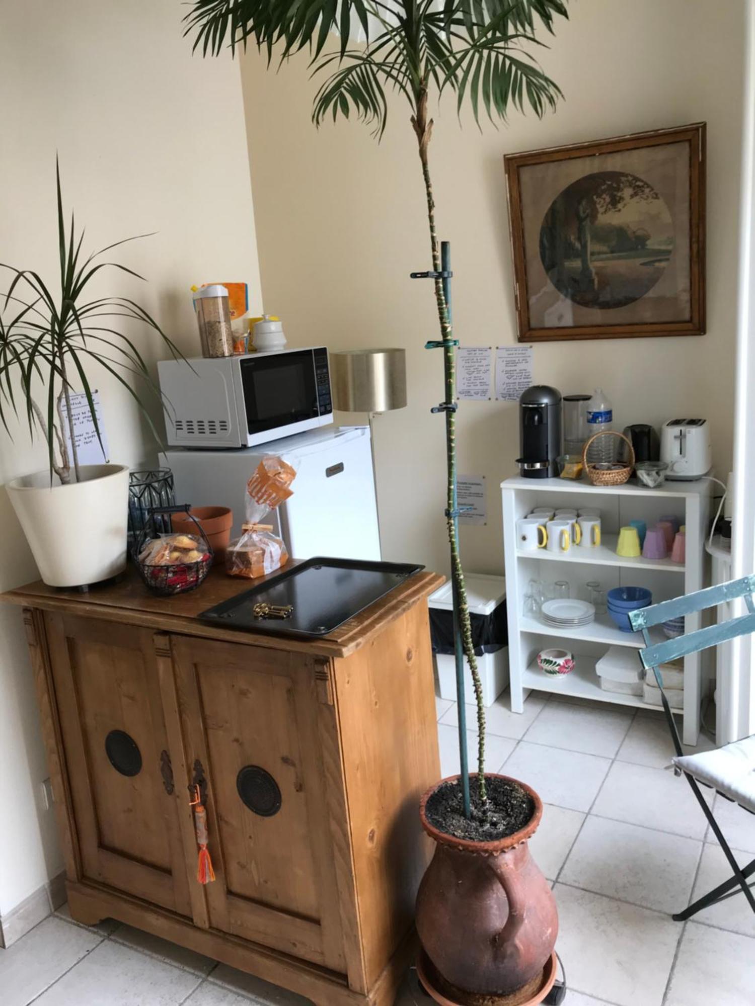 Chambre Japonaise Montpellier Exteriör bild